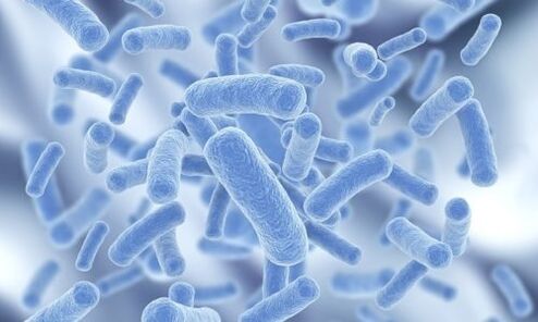 бактерії в організмі людини