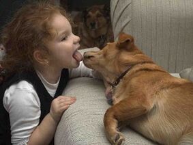 дитина цілує собаку і заражається паразитами